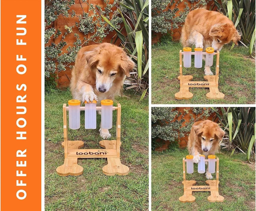 Natural wood dog puzzle toy treat dispenser measuring 31x30x20cm