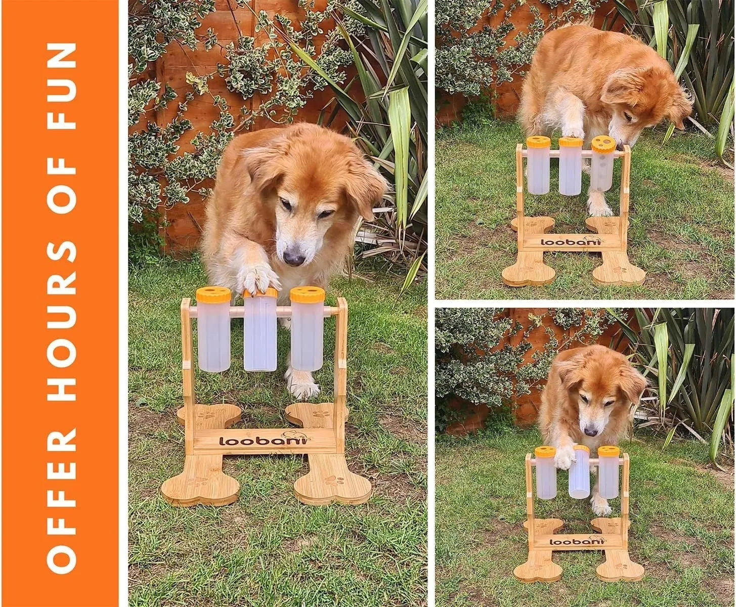 Natural wood dog puzzle toy treat dispenser measuring 31x30x20cm