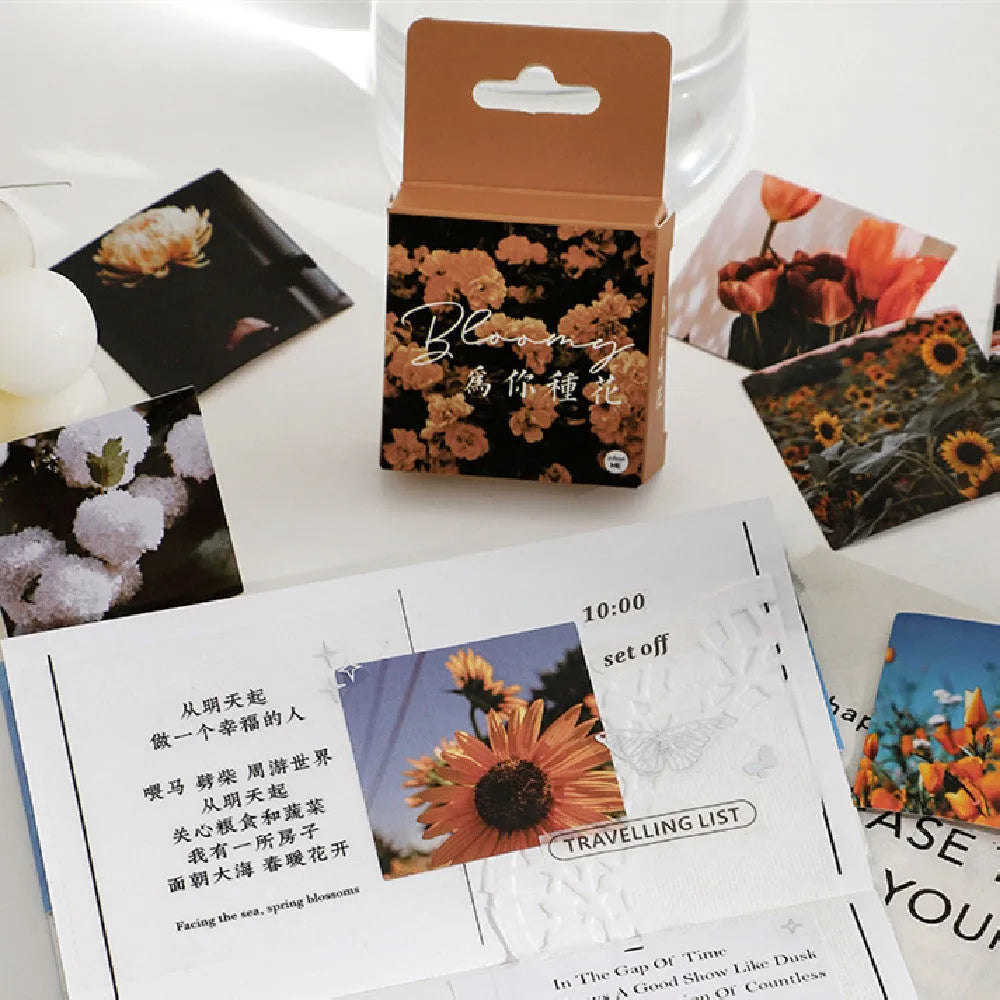Box of Nordic style decorative stickers showing six colour themes with 44mm square sizing