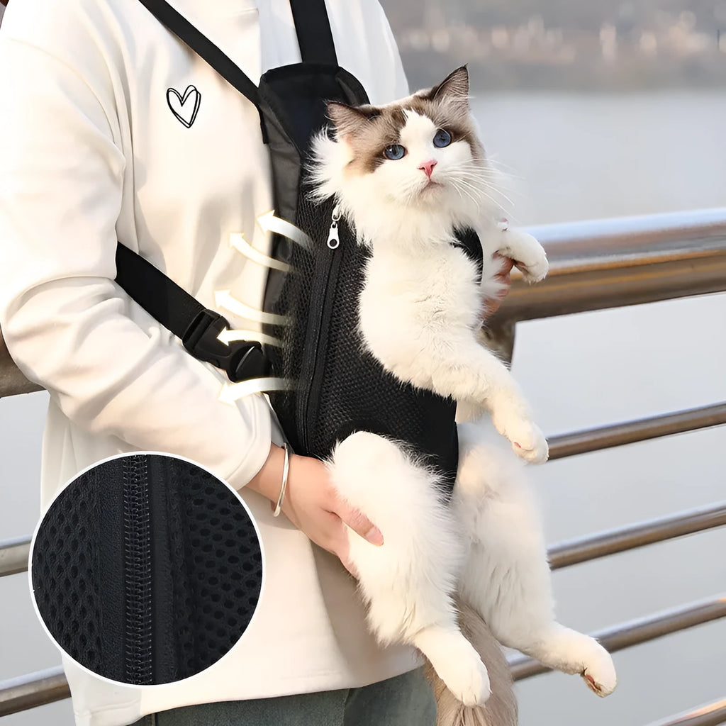 A small dog sitting in a breathable mesh carrier backpack worn on a person's front.