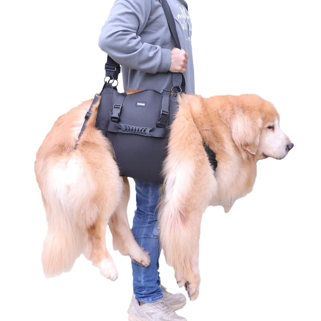 Black Oxford cloth dog harness shown on a dog, highlighting adjustable straps and chest support.