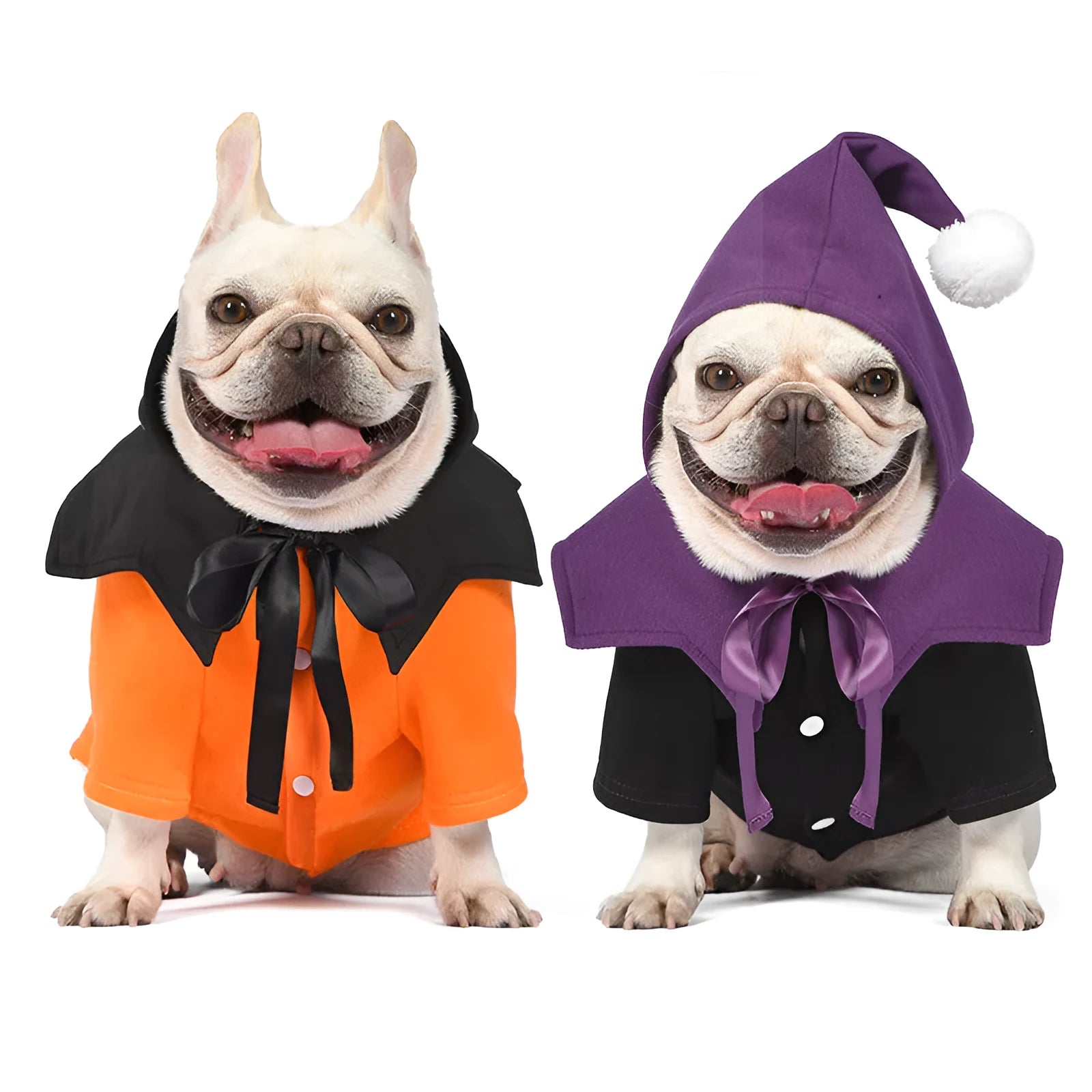 Black and orange pumpkin patterned dog sweater with matching shawl Halloween costume set