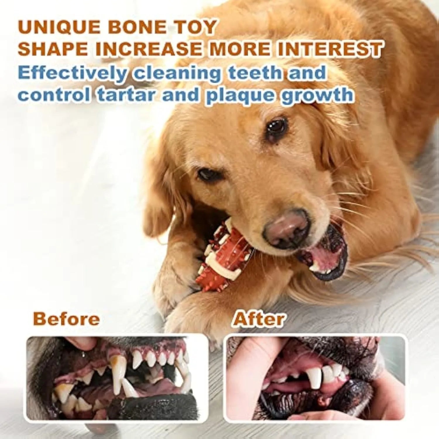 Bone-shaped natural rubber dog molar chew toy for teeth grinding and anxiety relief