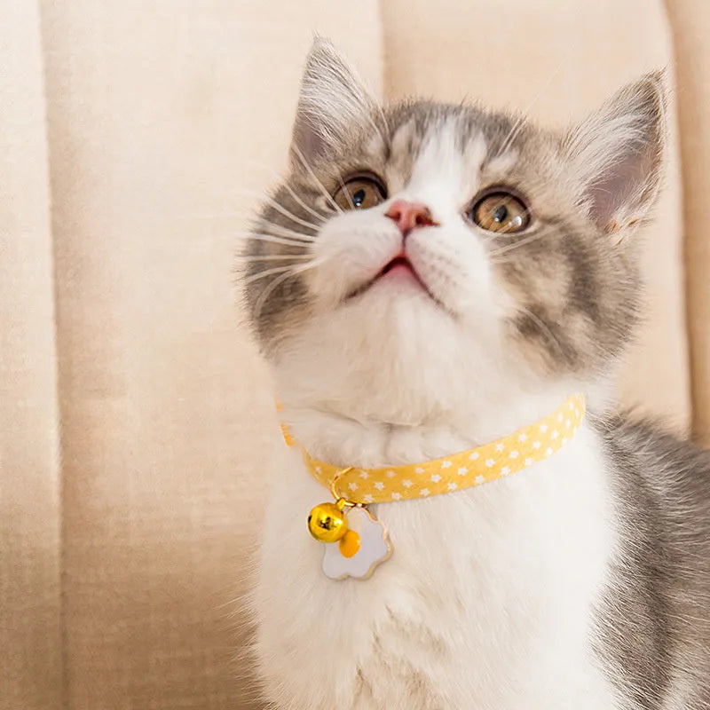 Green adjustable cat collar with a metal bell and pink bow tie on a small dog
