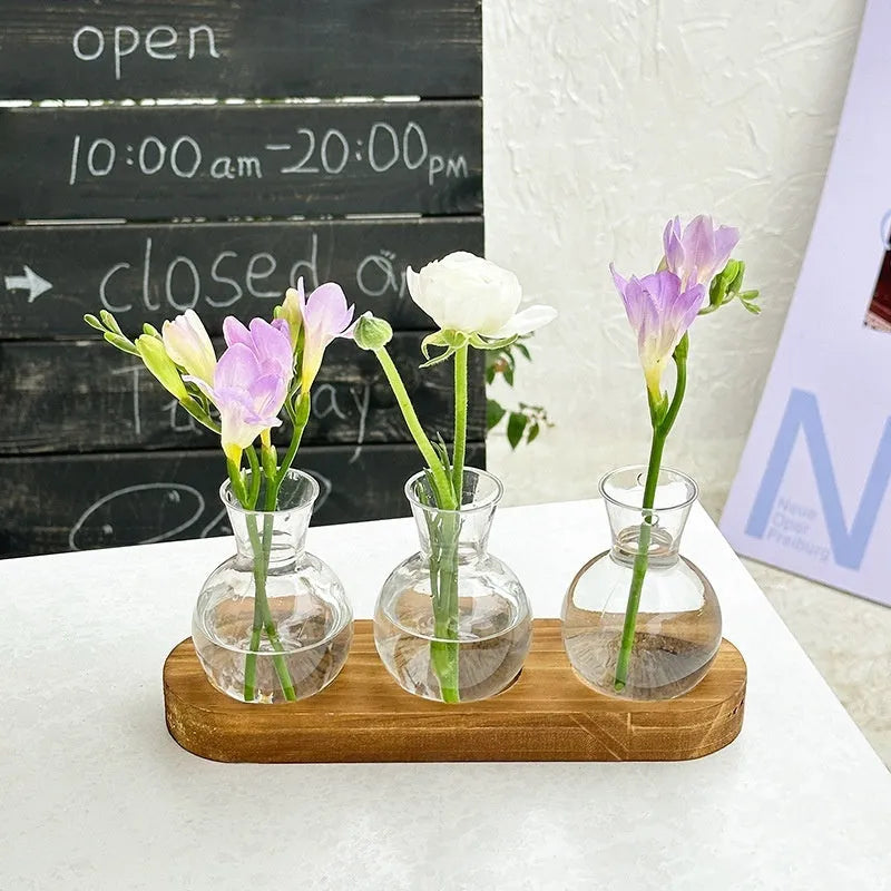 Wooden frame transparent hydroponic vase set with multiple PET glass containers in modern simplicity design