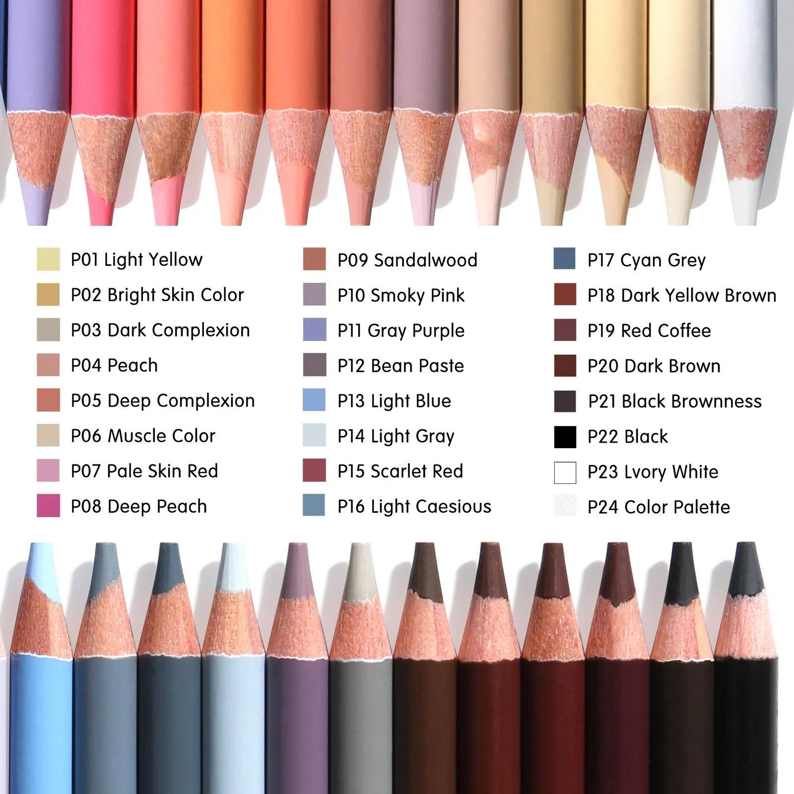 Set of 24 skin tone colour pencils in a round iron art case for portrait drawing.