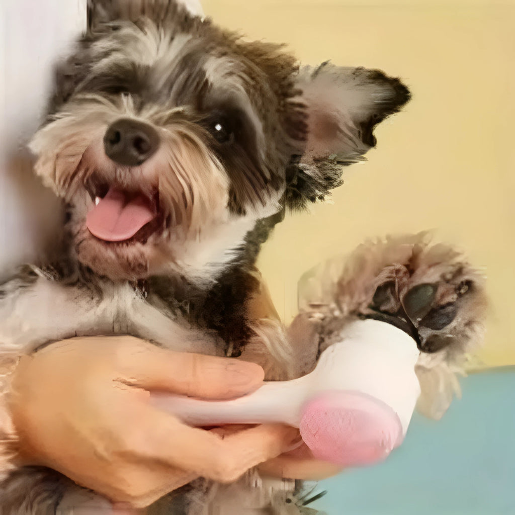 Blue nylon pet paw brush for dogs and cats measuring 13.5cm long
