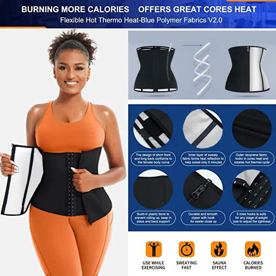 Neoprene belly band in blue colour showing adjustable abdominal support design