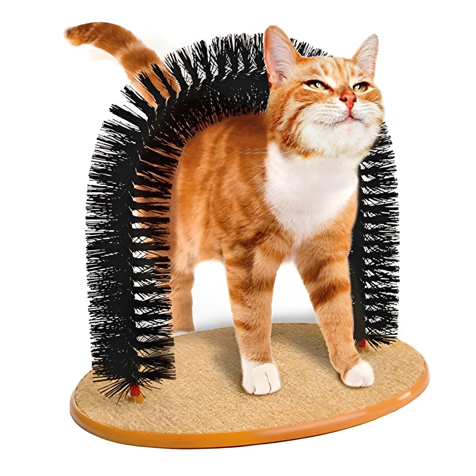White plastic arched cat grooming toy with built-in brush bristles for scratching and rubbing.