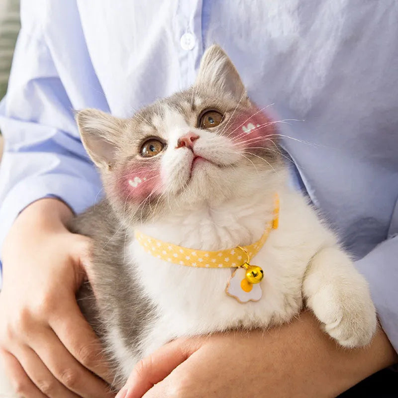 Green adjustable cat collar with a metal bell and pink bow tie on a small dog