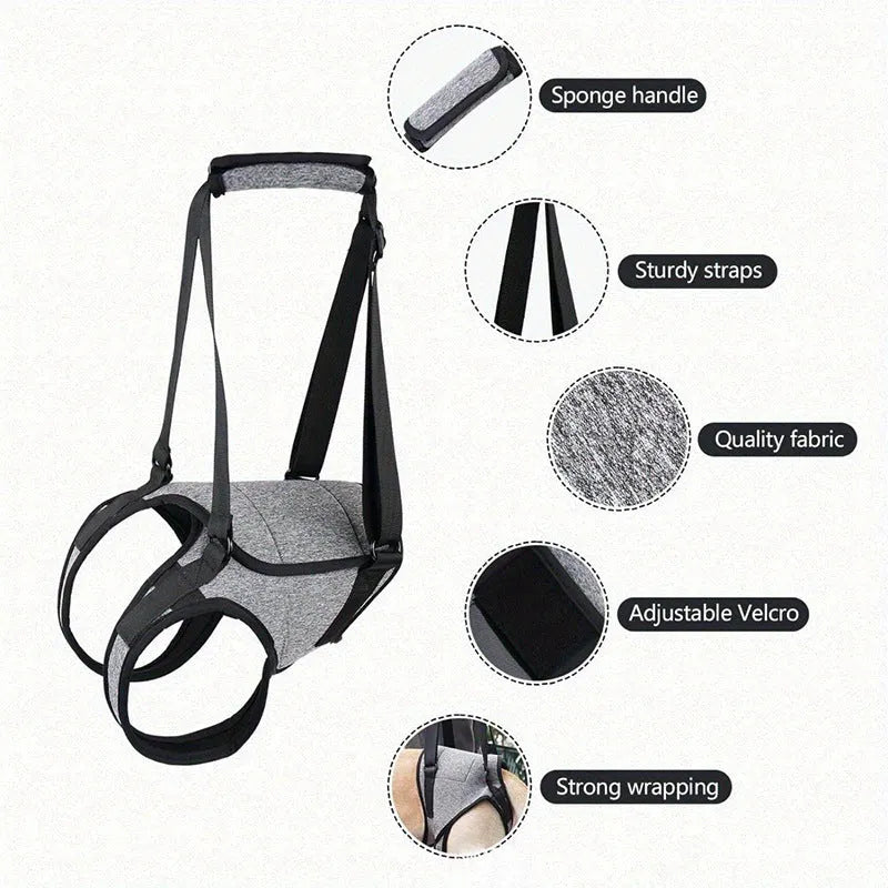 Grey neoprene dog rear leg recovery belt showing adjustable sizing for injury support