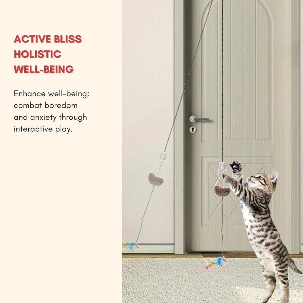 Interactive hanging cat toy with retractable elastic rope and dangling mouse attachment on door frame