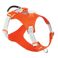LED dog safety harness with chest strap, reflective trim, and lights in multiple colour options.