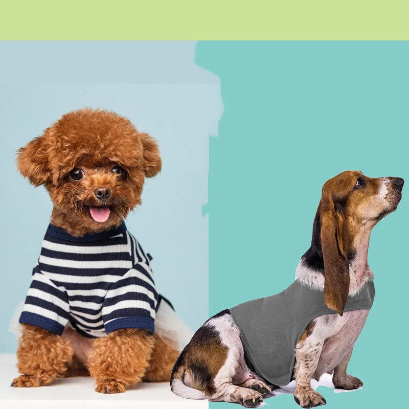 Anxiety jacket vest for cats and dogs in dark grey, showing front view with snap fasteners