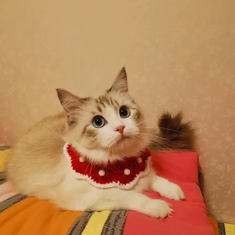 Wool knitted pet collar with cartoon pattern for cats dogs rabbits