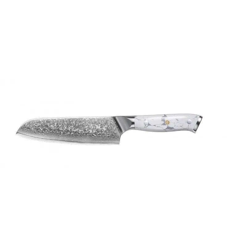 Damascus pattern VG10 steel combined chef's knife with 21cm blade on wooden surface