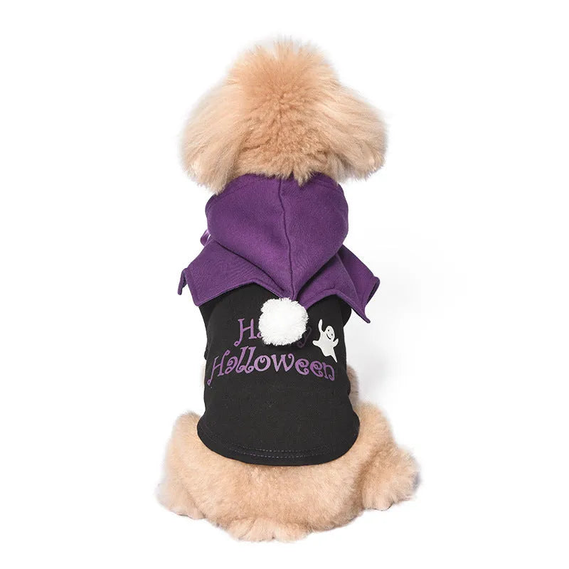 Black and orange pumpkin patterned dog sweater with matching shawl Halloween costume set