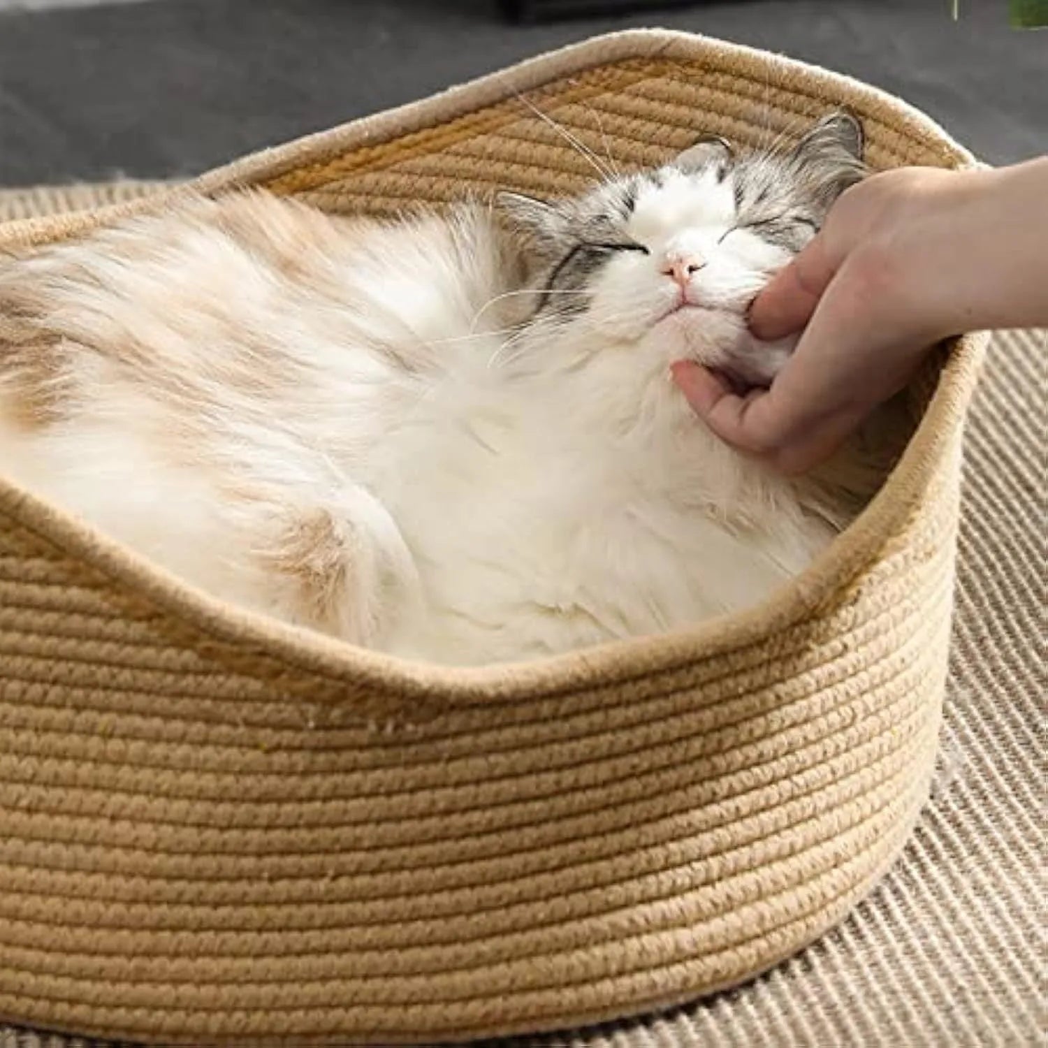 Wicker cat bed basket with corrugated scratching surface in two size options
