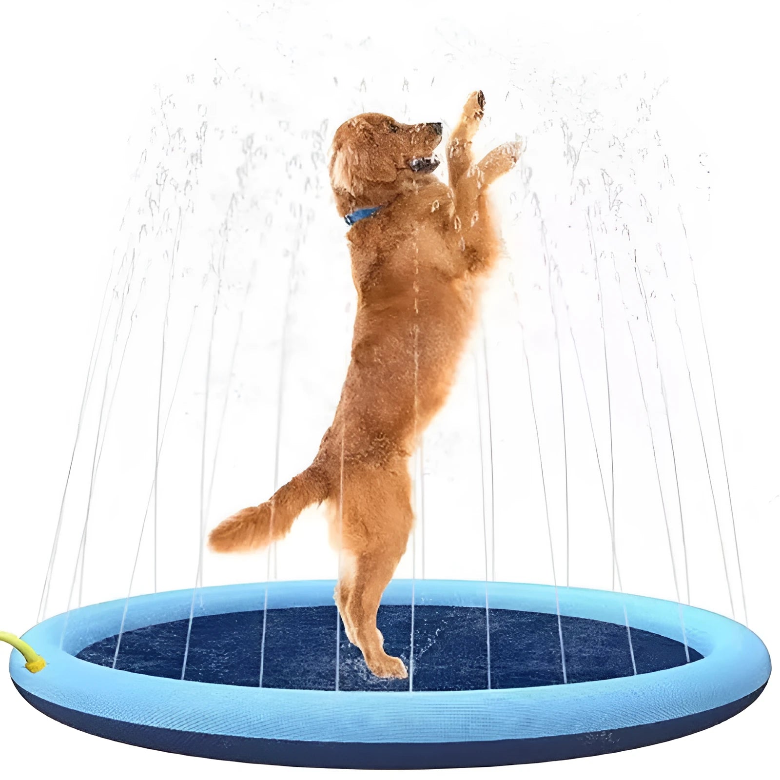 Large blue and green dog splash pad with sprinkler spray, showing anti-slip texture, placed on grass.