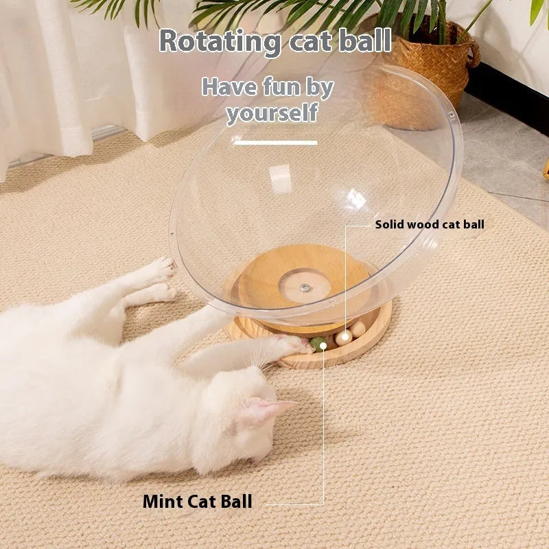 Transparent acrylic cat space capsule bed showing enclosed bathtub-like design.