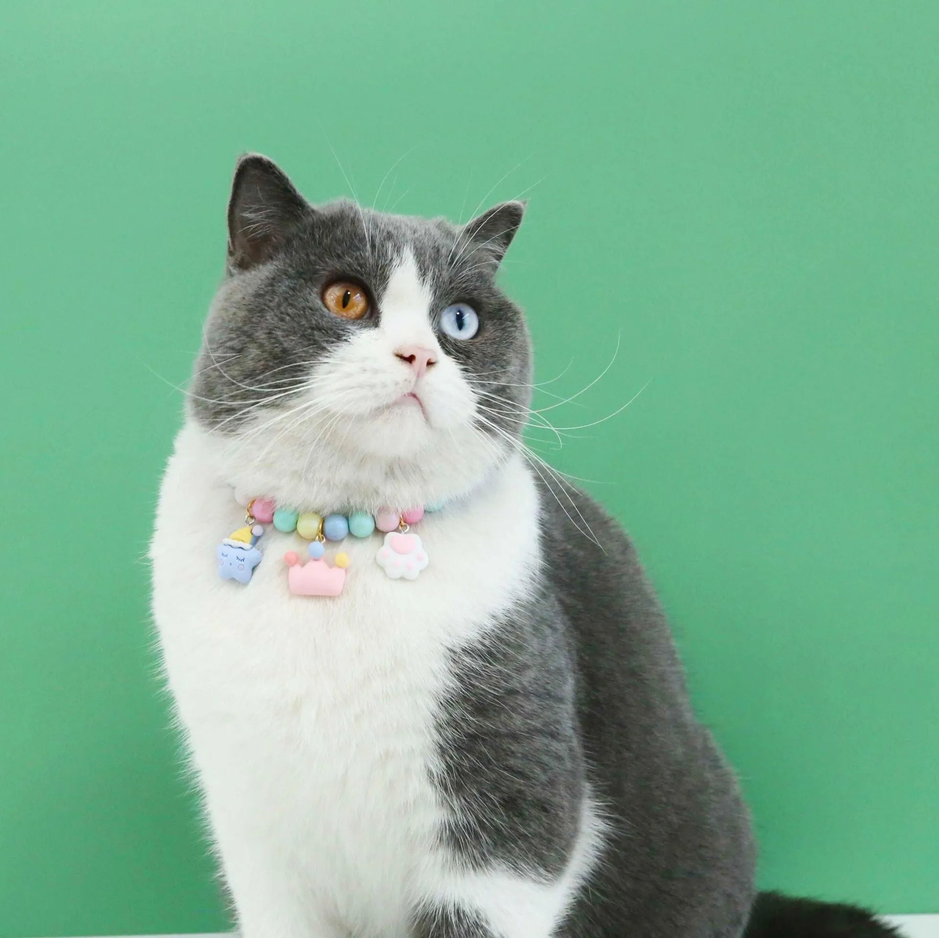 Colourful resin pet jewellery with moon and meteor motifs in macaron colours for dogs and cats