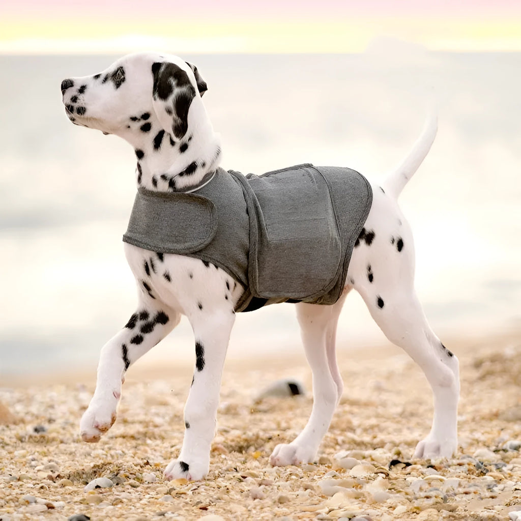 Heather grey dog anxiety jacket warm vest for dogs of various sizes