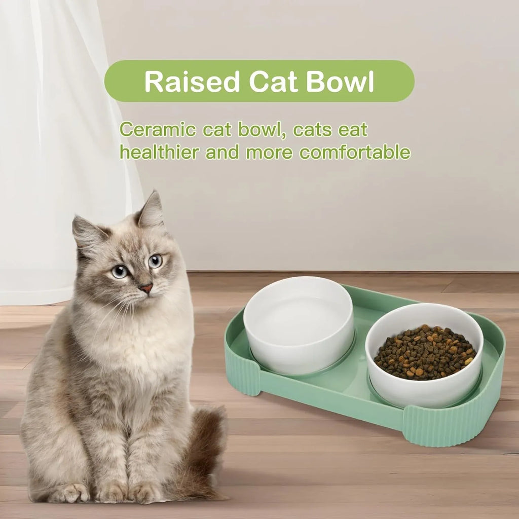 Green ceramic raised cat food and water bowls set with tilted stand on a kitchen floor.