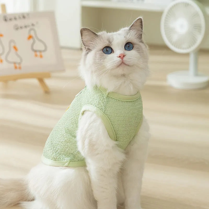 Green knitted cat clothing with a hollowed-out cartoon bear patch on the back.