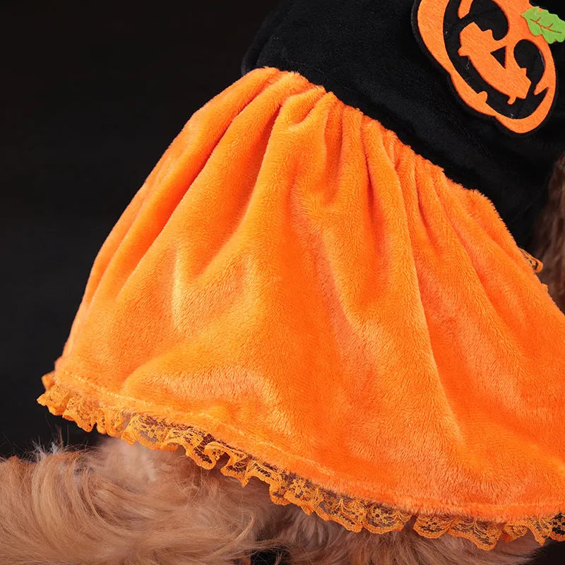 Crystal velvet pet costume with Halloween pumpkin skirt design for dogs and cats in various sizes