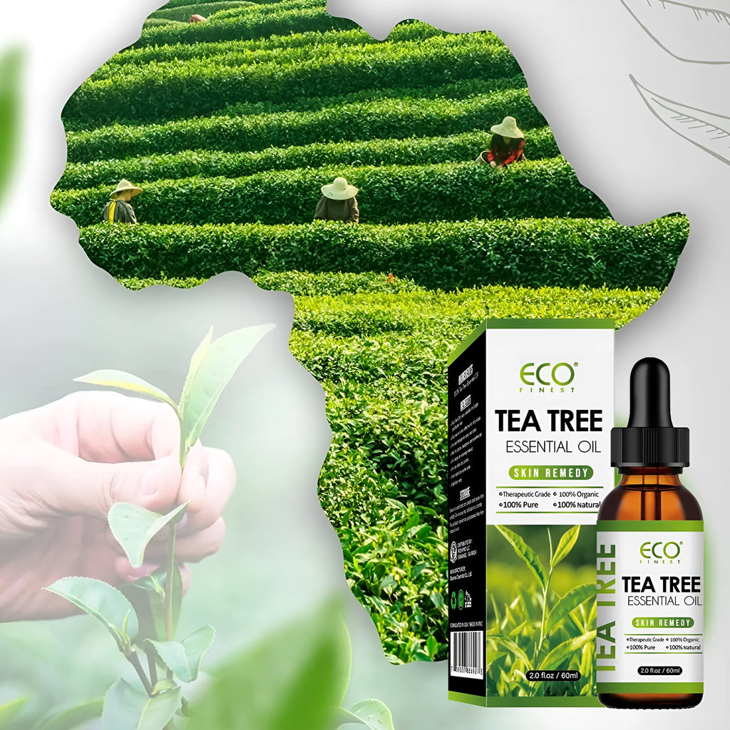 60ml tea tree essential oil bottle for facial acne treatment and massage application