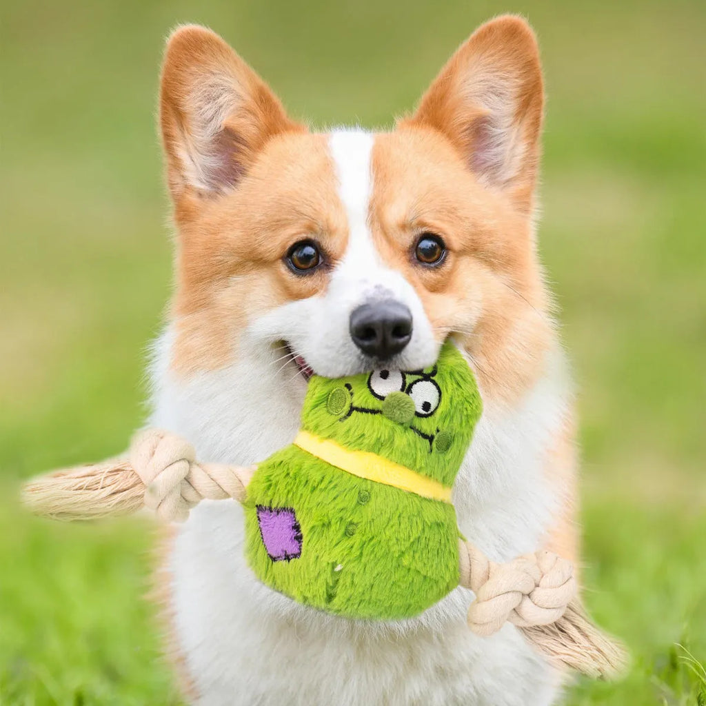 Green plush rope knot dog toy with molar tooth shape for tug-of-war games