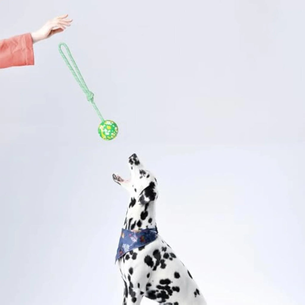 Natural rubber dog ball attached to nylon rope toy in two sizes for medium and small dogs
