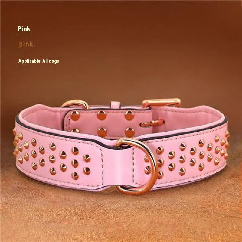 Leather dog collar with a line of stainless steel rivets, shown in black colour.