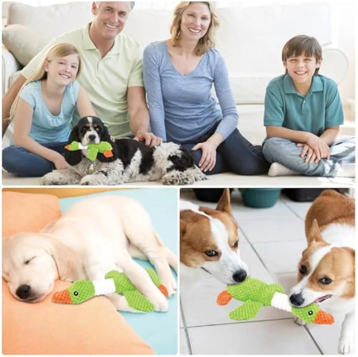 Blue green and grey durable duck plush dog toy with squeakers for chewing and play