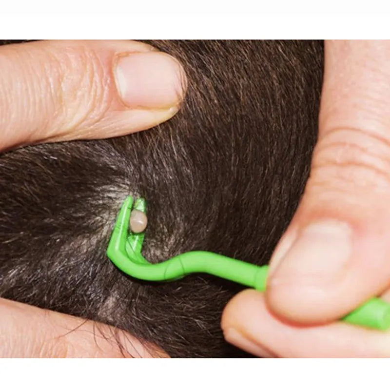 Three blue plastic pet tick removal clip tools with hook design for dogs and cats