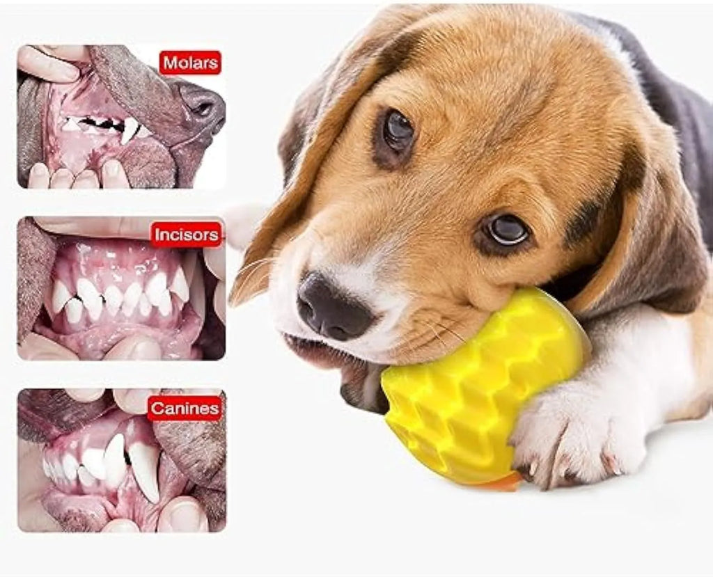 Blue and orange durable rubber squeaky dog ball with texture bumps for teeth cleaning.