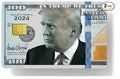 Silver grey plastic nano SIM card holder with adhesive stickers for attachment to credit cards.