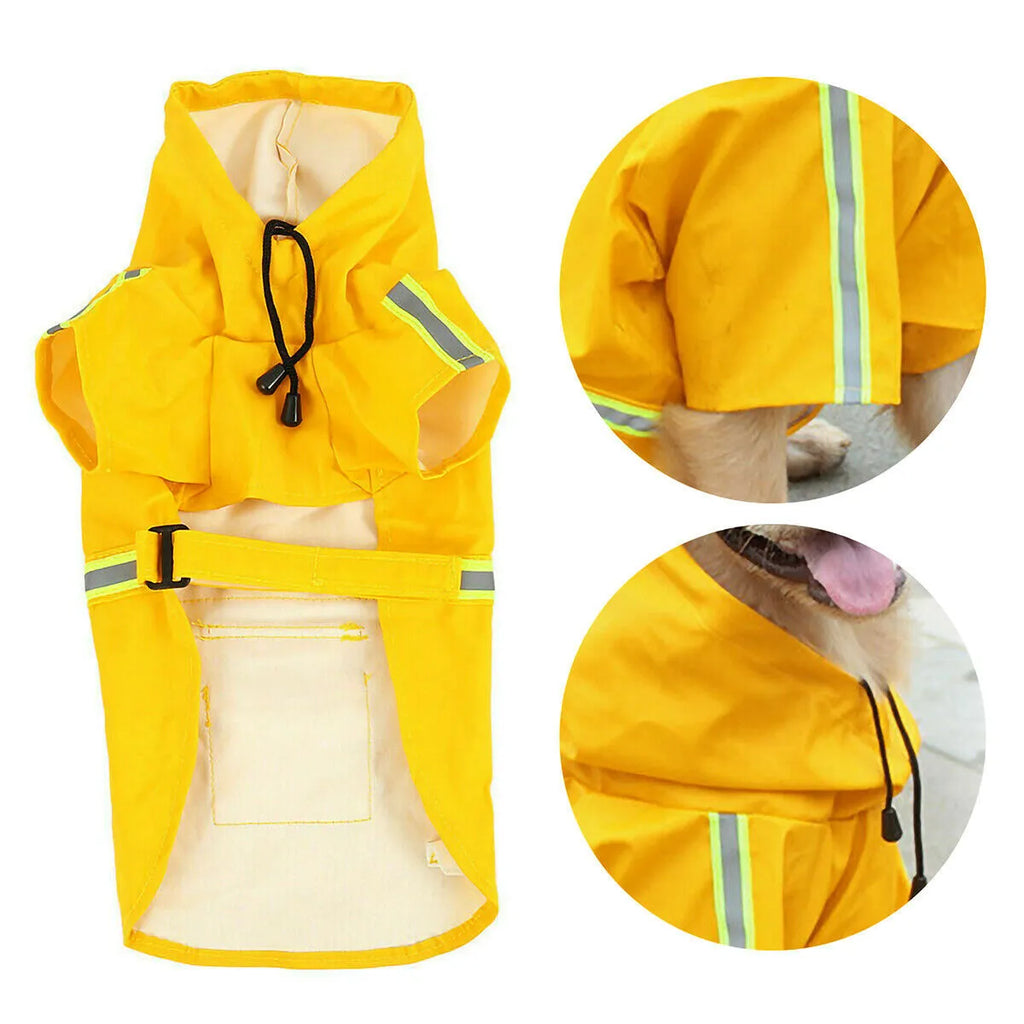 Waterproof dog raincoat in synthetic leather with reflective stripe and hood on a small dog