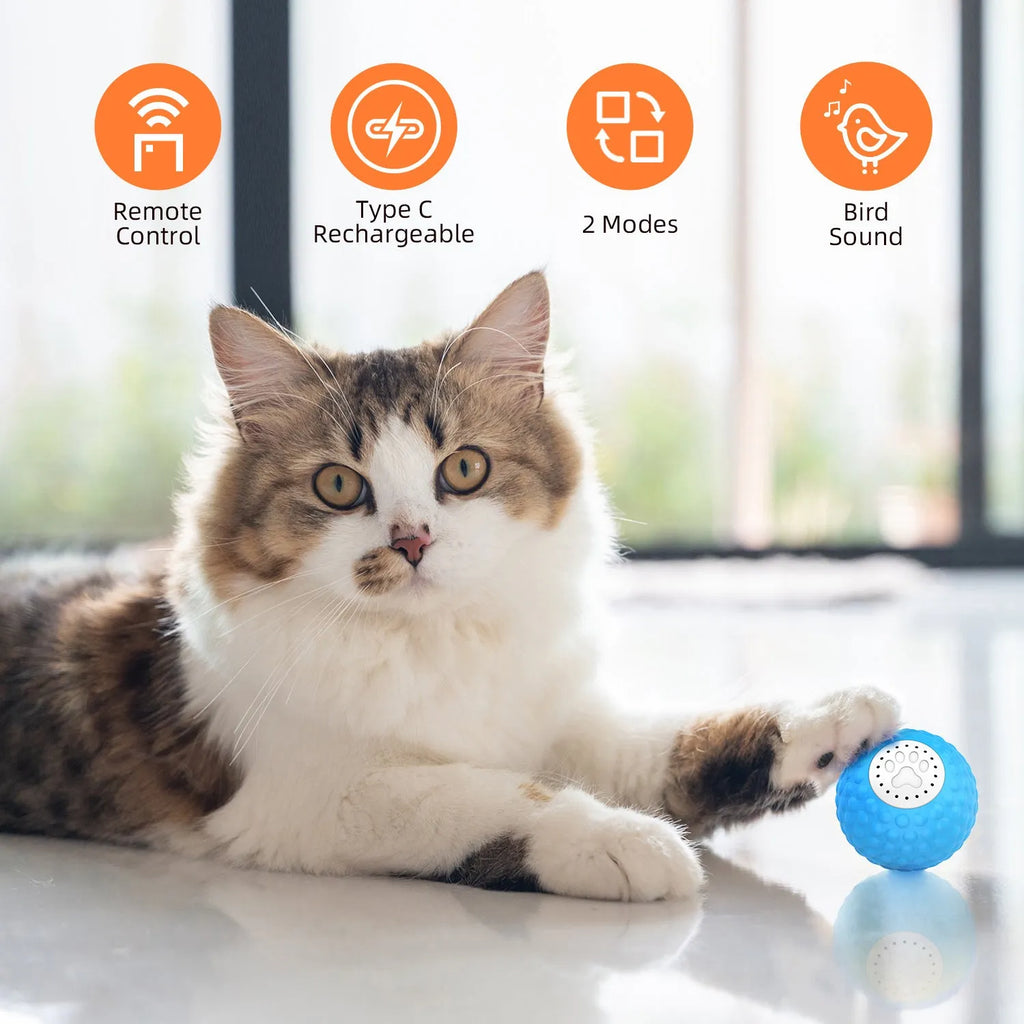 Remote control cat toy with rolling ball in blue, green, and yellow colour options