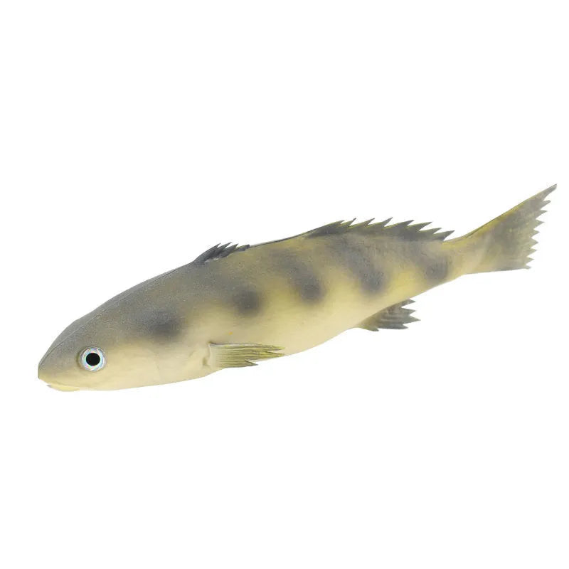 Set of three detailed PU simulated fish models: yellow-fin tuna, small tuna, and yellow croaker on a white background.