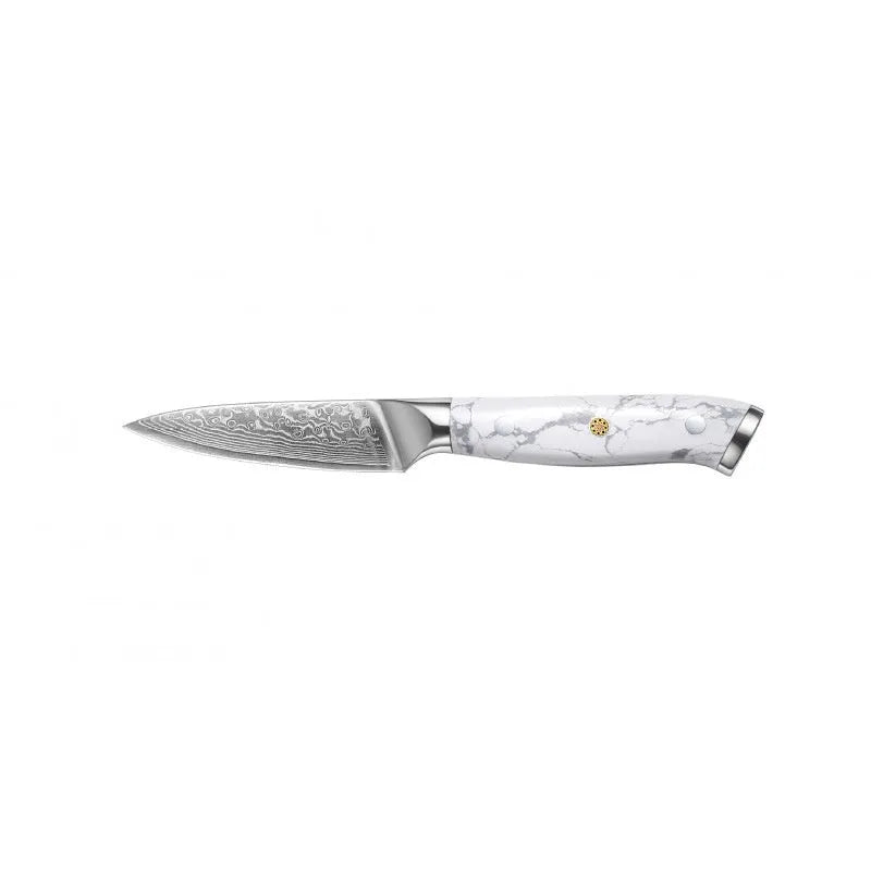 Damascus pattern VG10 steel combined chef's knife with 21cm blade on wooden surface