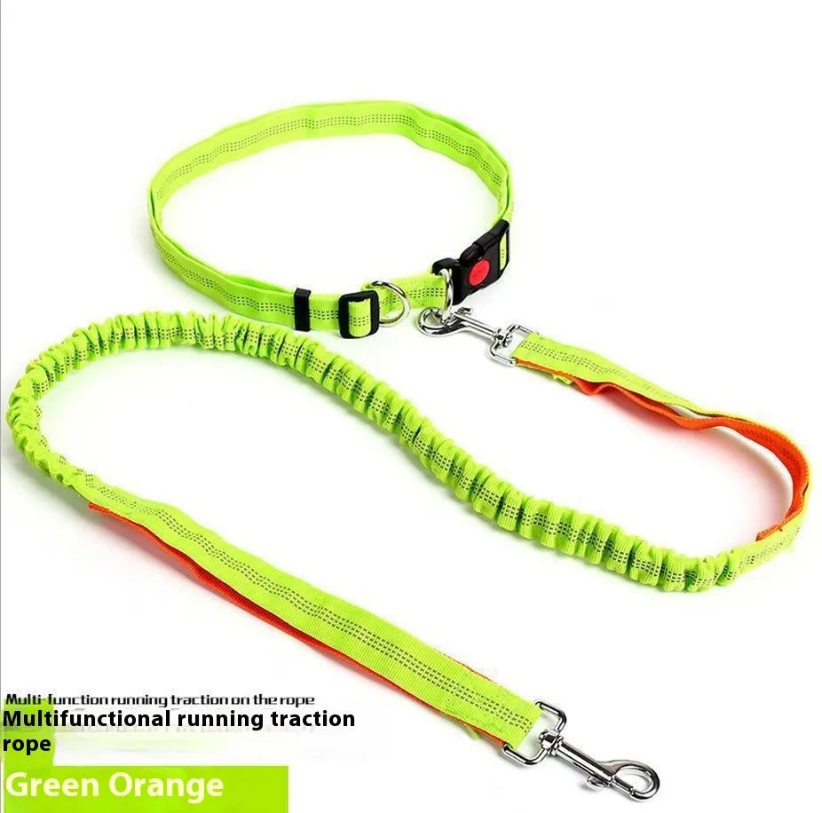 Elastic dog leash with reflective filament in gray and blue colour combination showing 2.5cm width