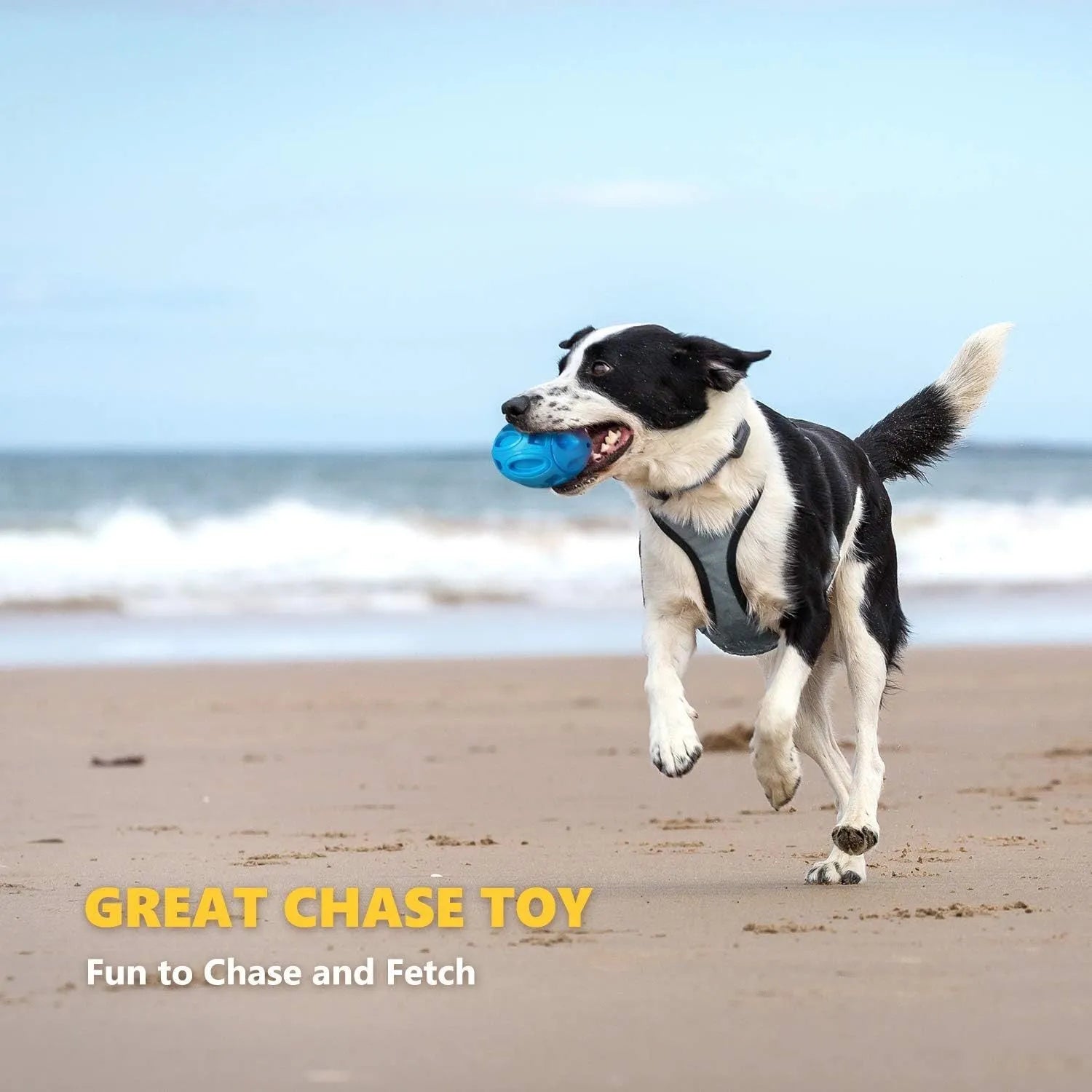 Blue, green, and orange durable natural rubber squeaky dog chew ball for medium and large breeds.