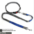 Elastic dog leash with reflective filament in gray and blue colour combination showing 2.5cm width