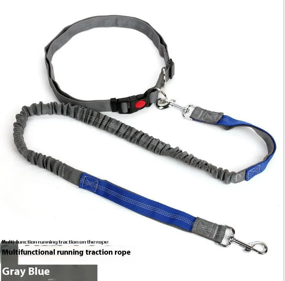 Elastic dog leash with reflective filament in gray and blue colour combination showing 2.5cm width