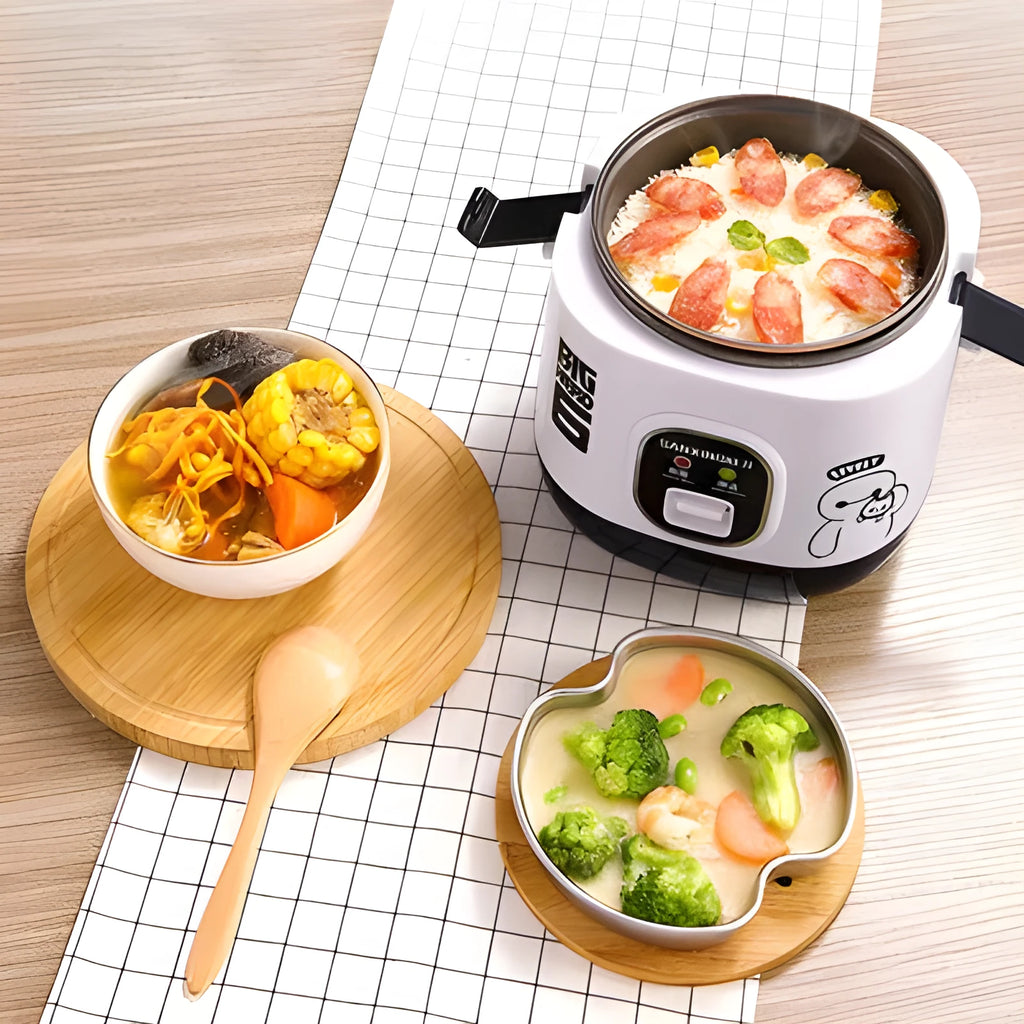 Compact round automatic rice cooker with 2L capacity for single person use