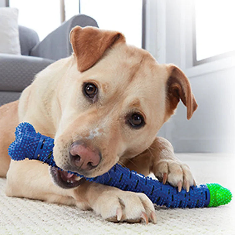 Blue green dog dental cleaning toy with silicone bristles and massage nodules for tooth cleaning and chewing