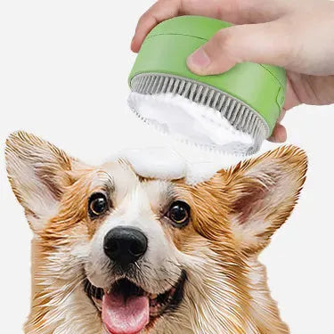 Cat Spray Comb electric massage pet spray comb in green colour with 30ml water tank and silicone bristles