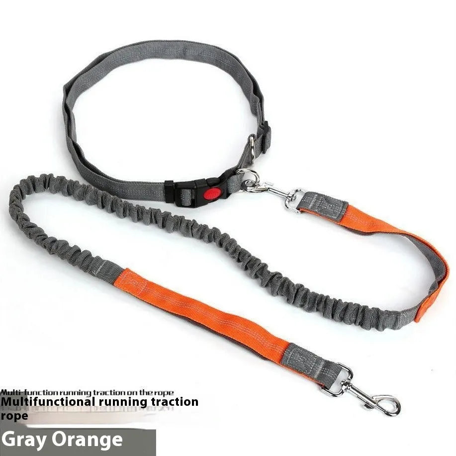 Elastic dog leash with reflective filament in gray and blue colour combination showing 2.5cm width