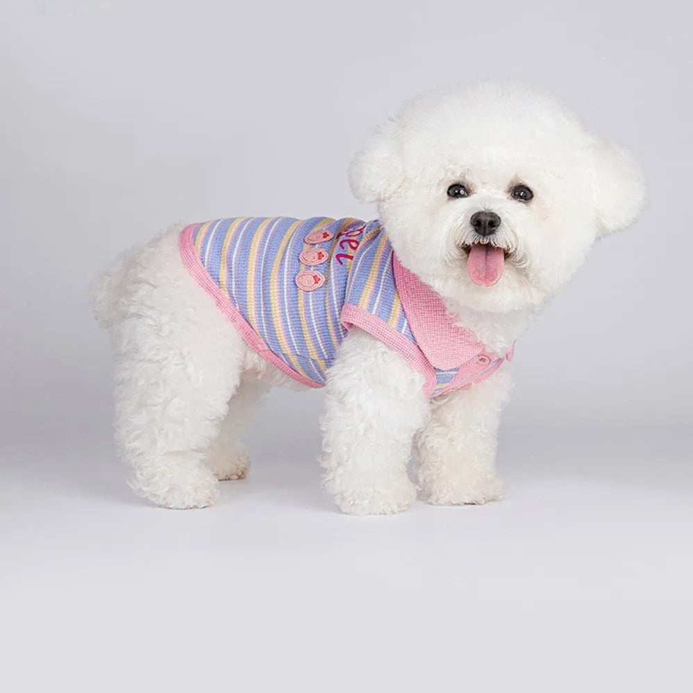 Pink purple pet vest for small dogs and cats showing lightweight autumn clothing design